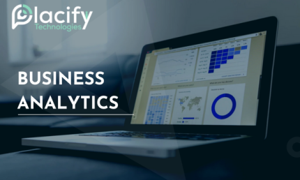 BUSINESS ANALYTICS